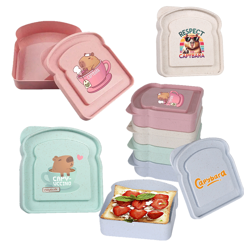 Capivara sanduíche caixa de ar - Food Storage Containers Plastic Box avaliação e preço
